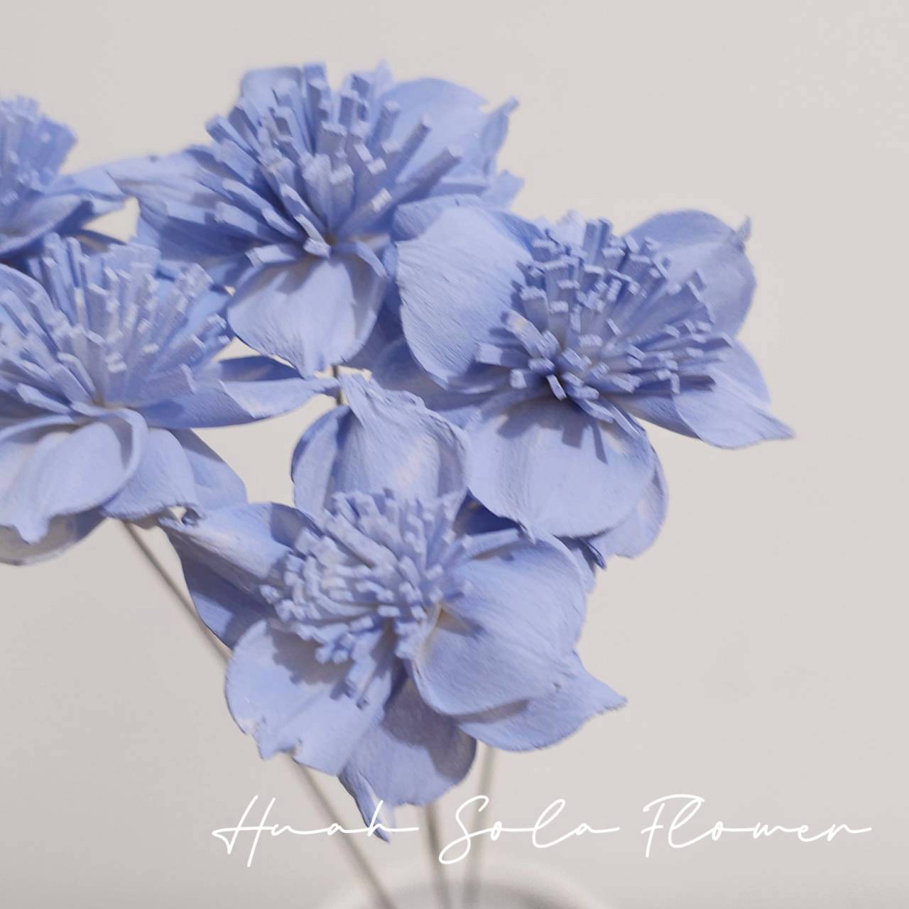 LINE_ALBUM_官網5_251018_84