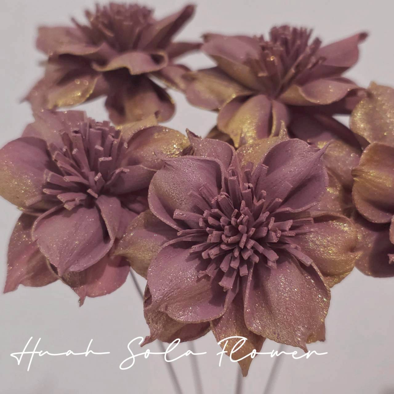 LINE_ALBUM_官網6_251210_4