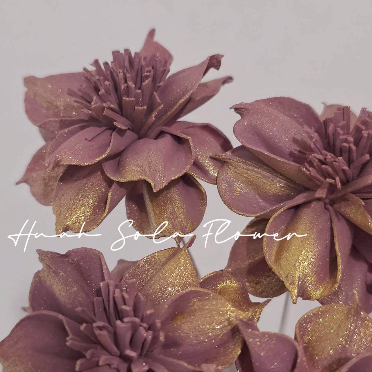 LINE_ALBUM_官網6_251210_5