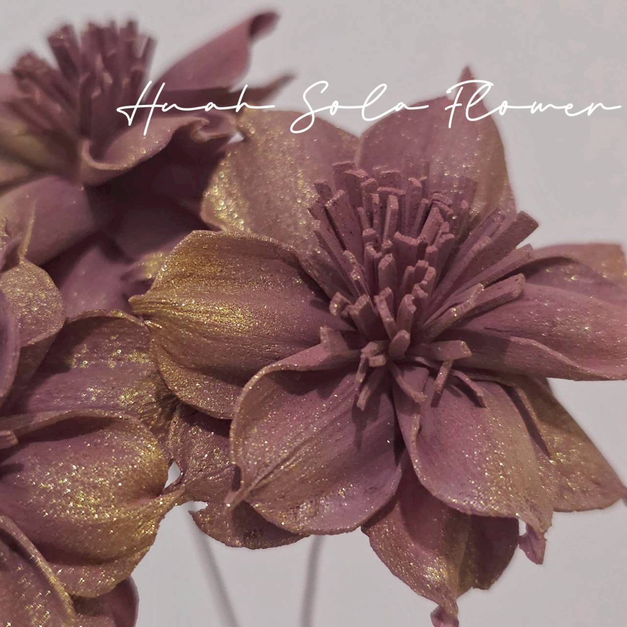 LINE_ALBUM_官網6_251210_6