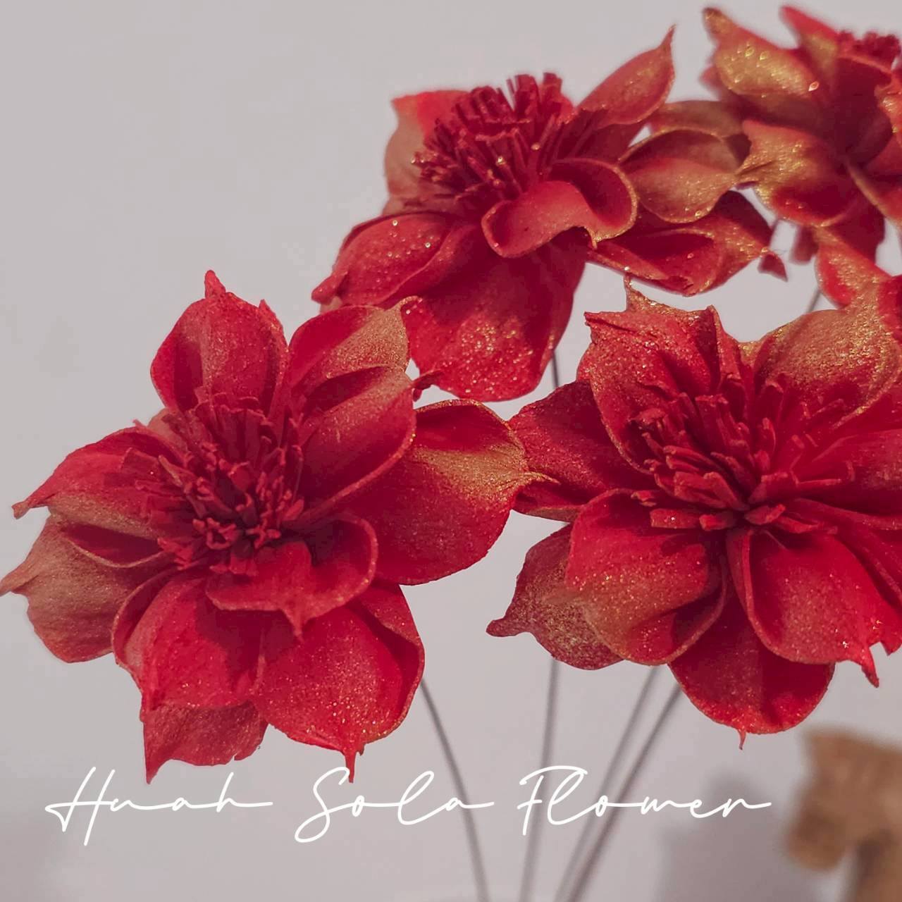 LINE_ALBUM_官網6_251210_9