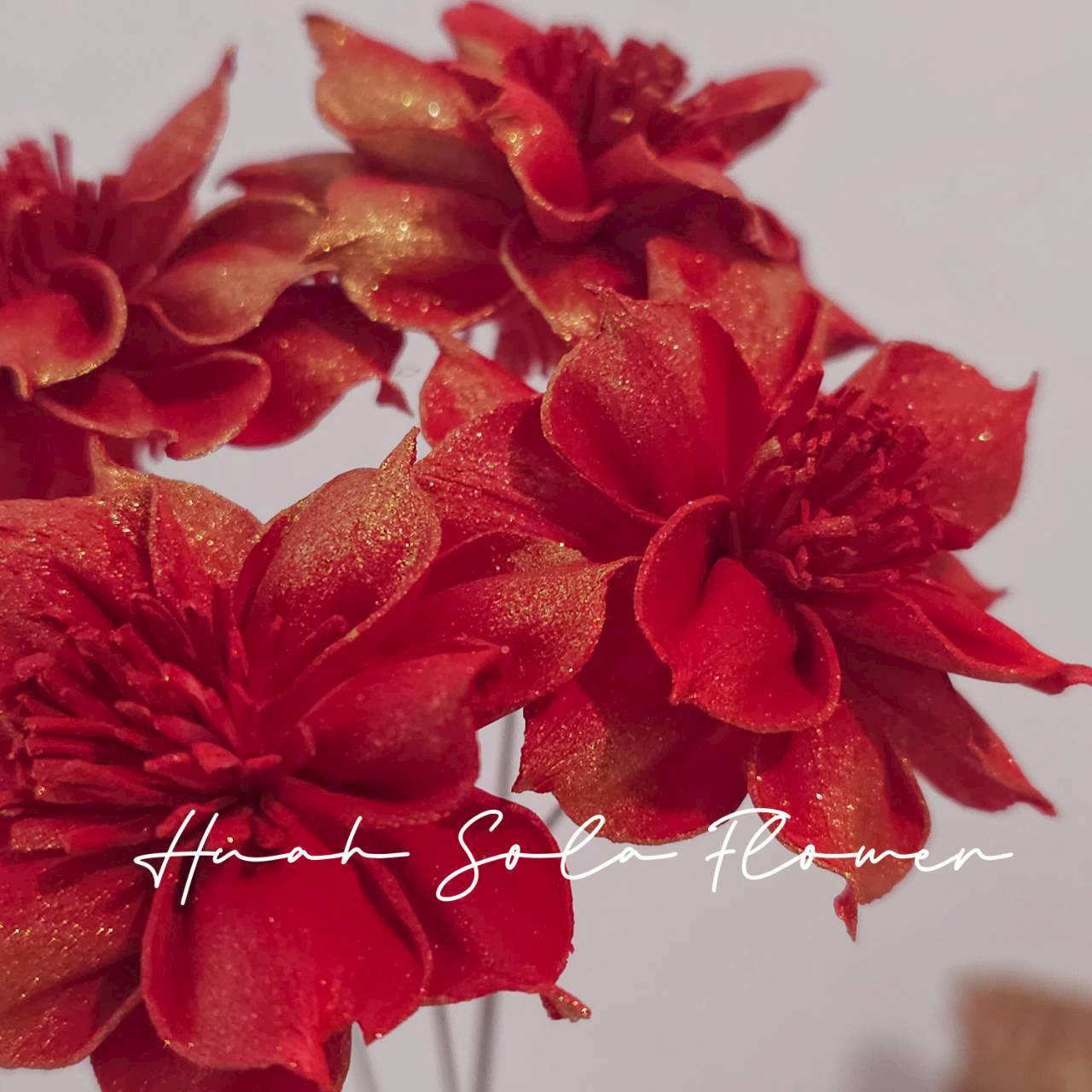 LINE_ALBUM_官網6_251210_10