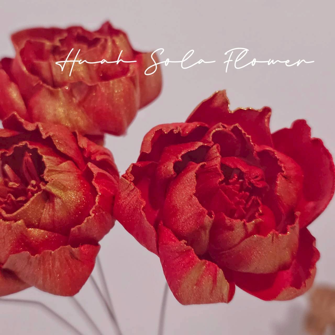 LINE_ALBUM_官網6_251210_16