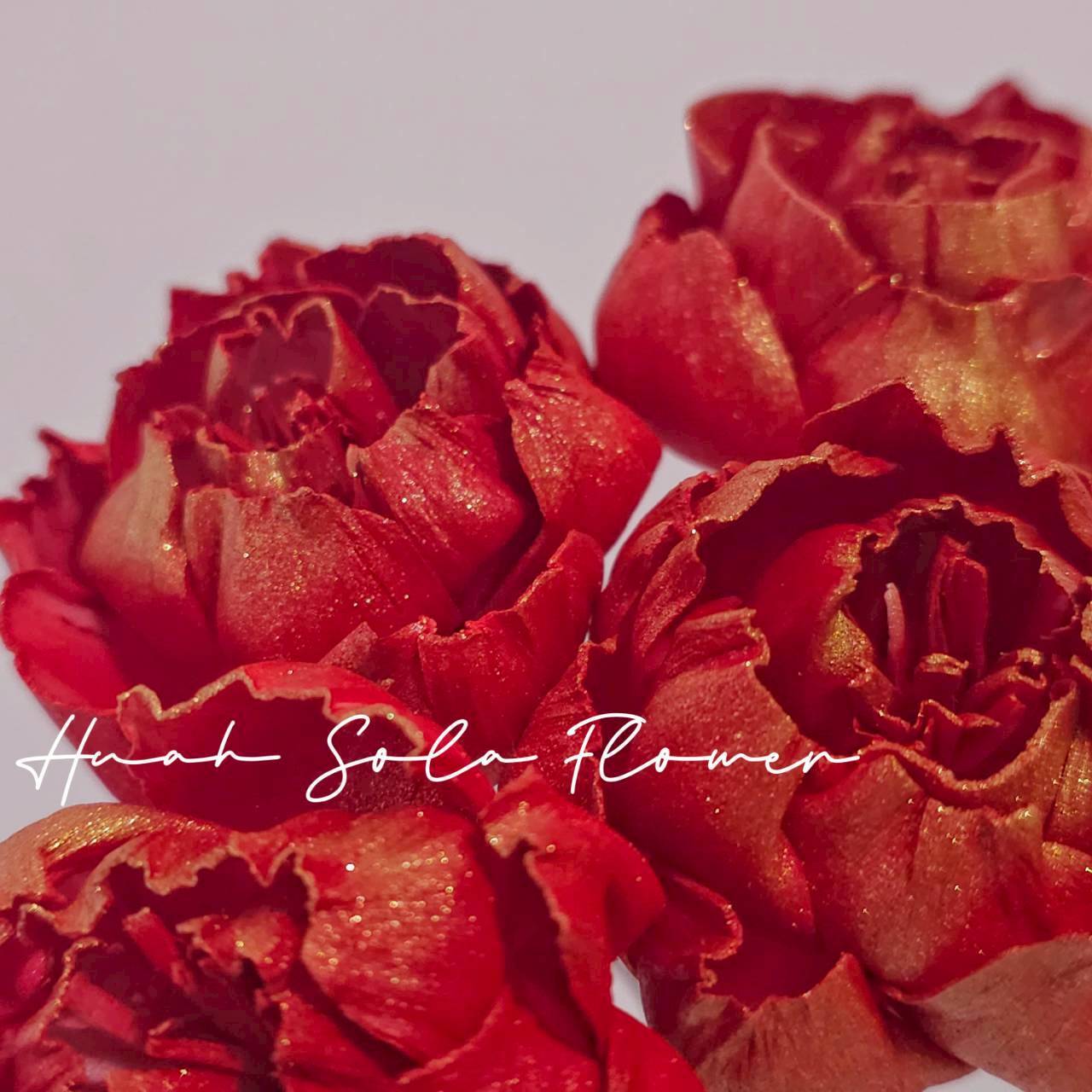 LINE_ALBUM_官網6_251210_15