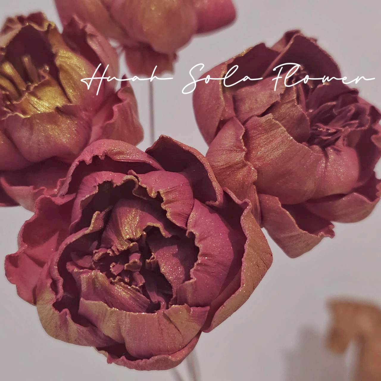 LINE_ALBUM_官網6_251210_12