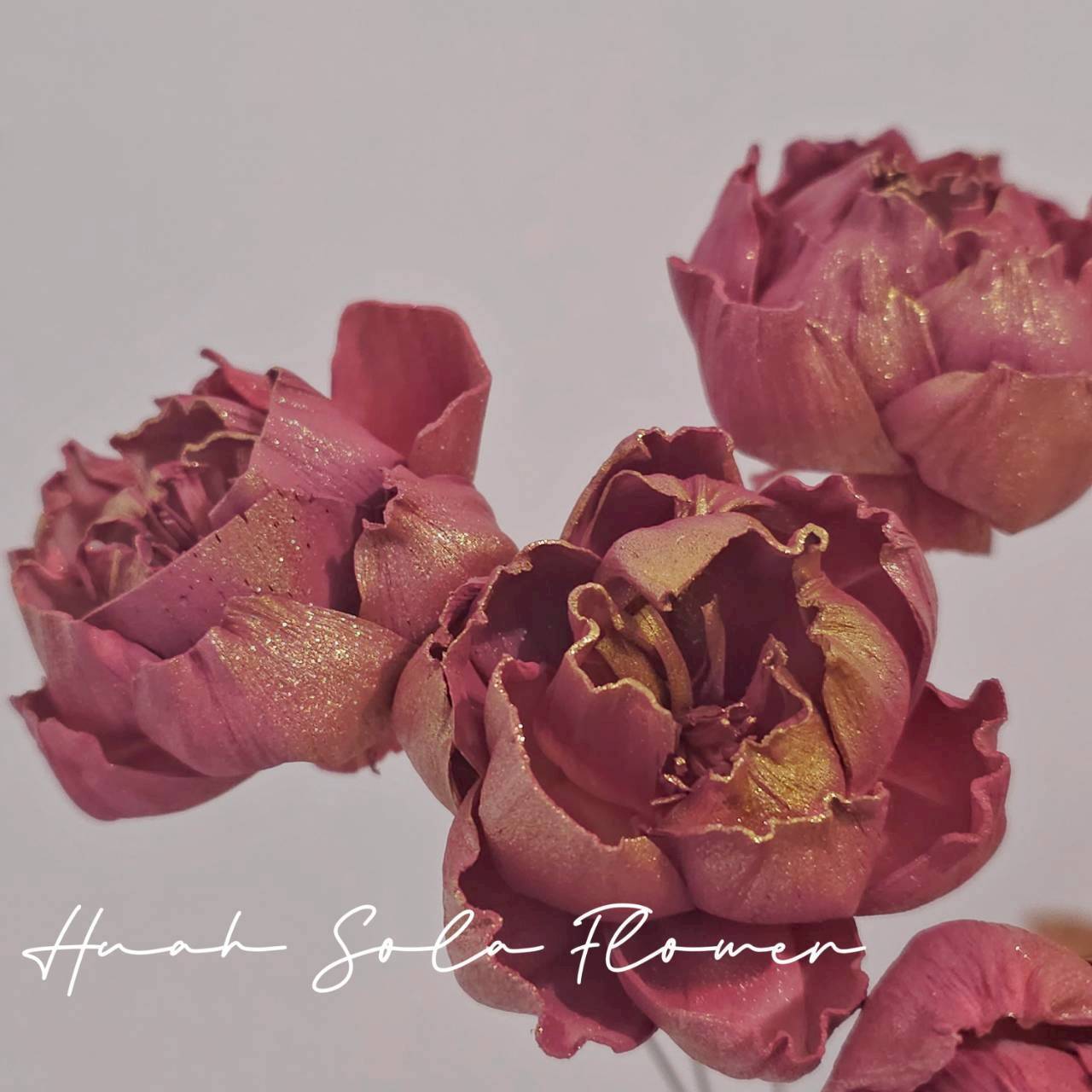 LINE_ALBUM_官網6_251210_14