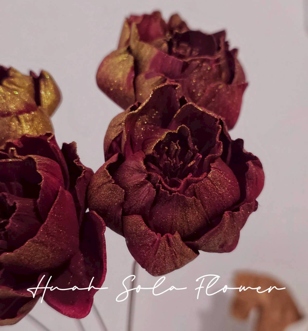 LINE_ALBUM_官網6_251210_21