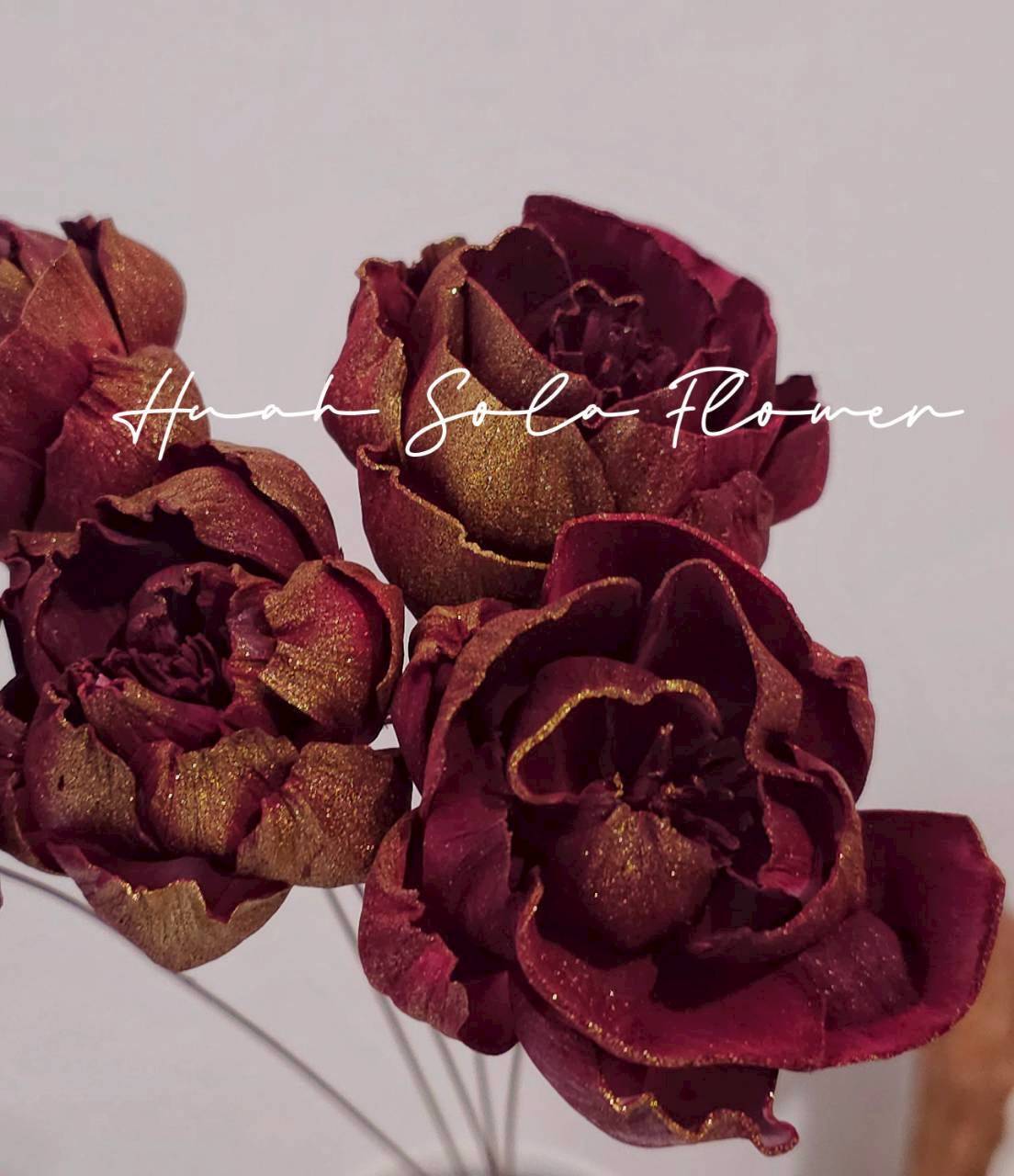 LINE_ALBUM_官網6_251210_22