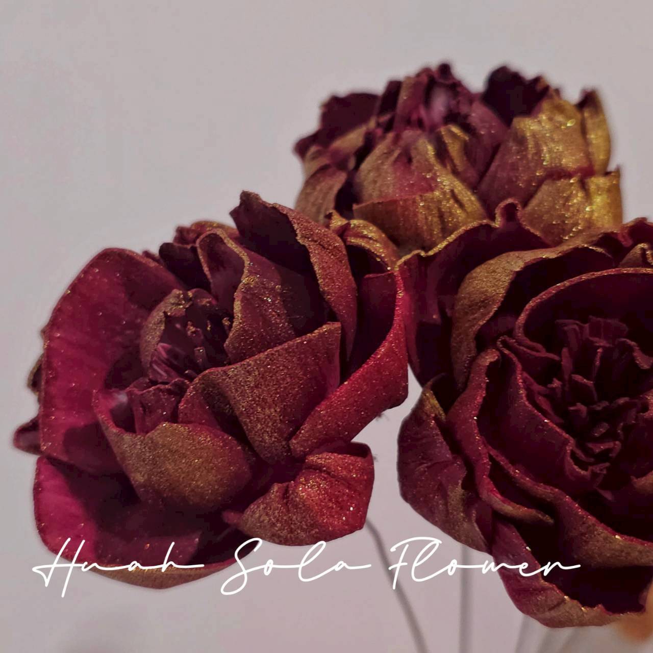 LINE_ALBUM_官網6_251210_24