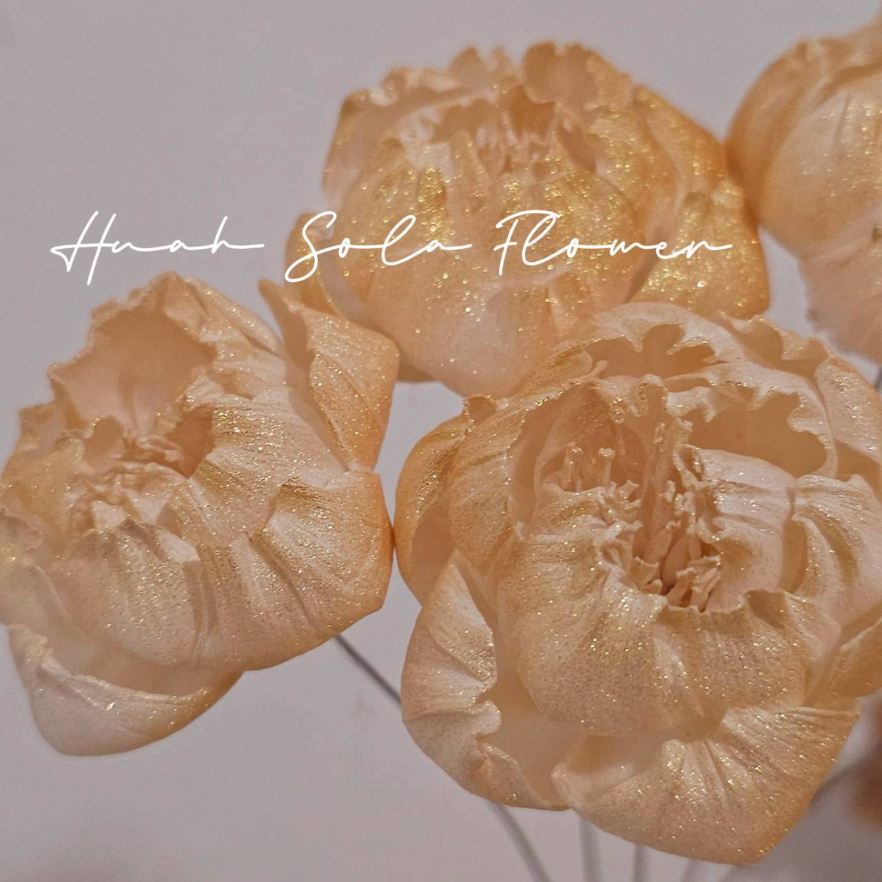 LINE_ALBUM_官網6_251210_20