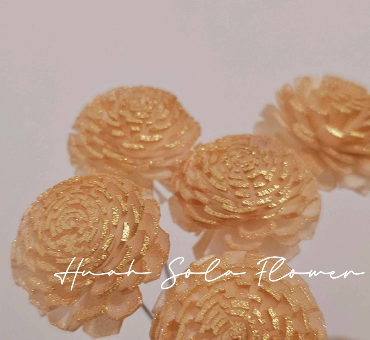 LINE_ALBUM_官網6_251210_25