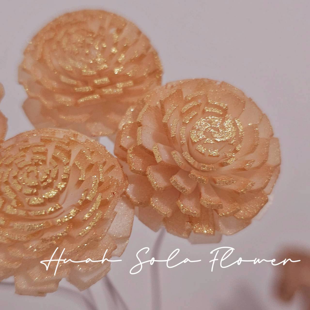 LINE_ALBUM_官網6_251210_27