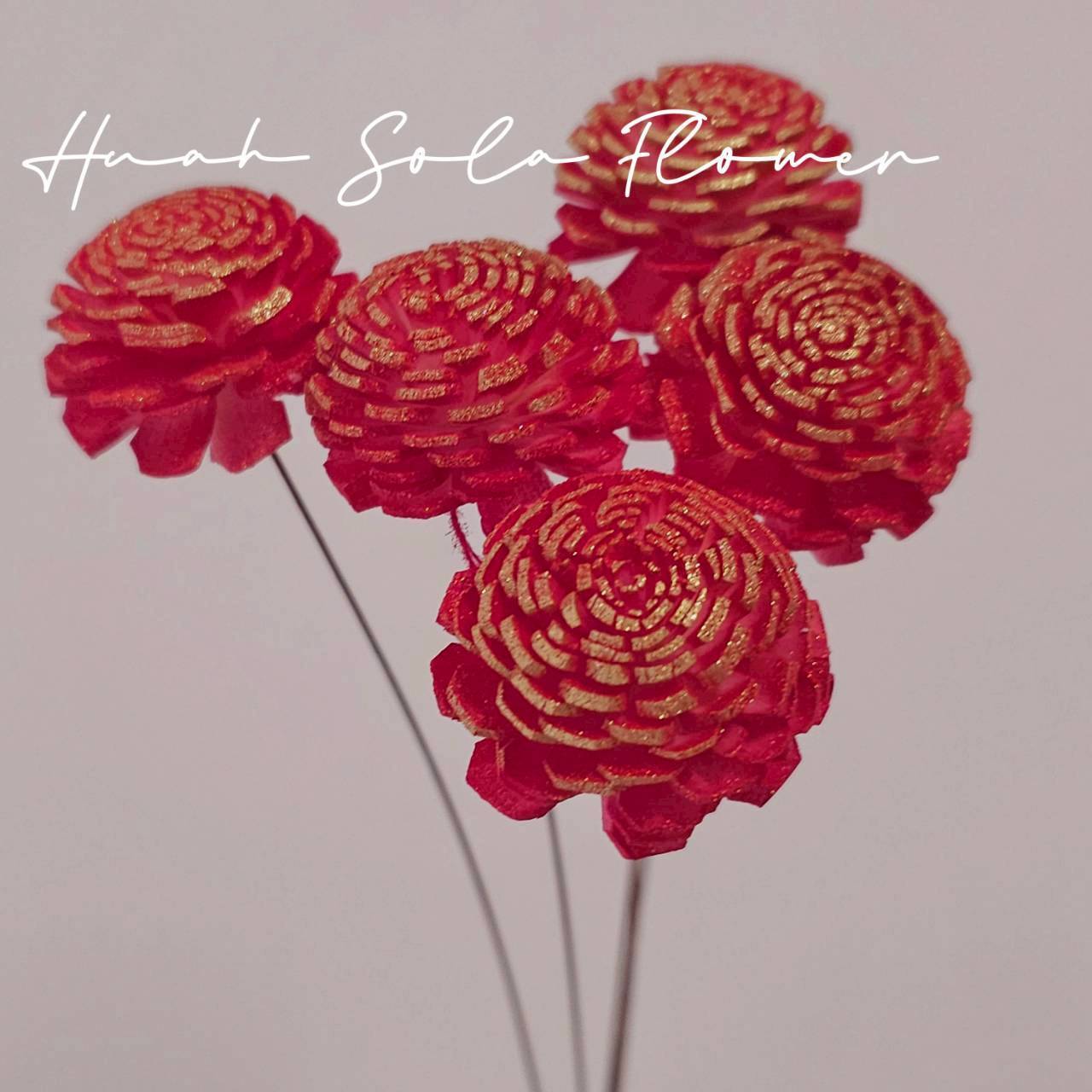 LINE_ALBUM_官網6_251210_30