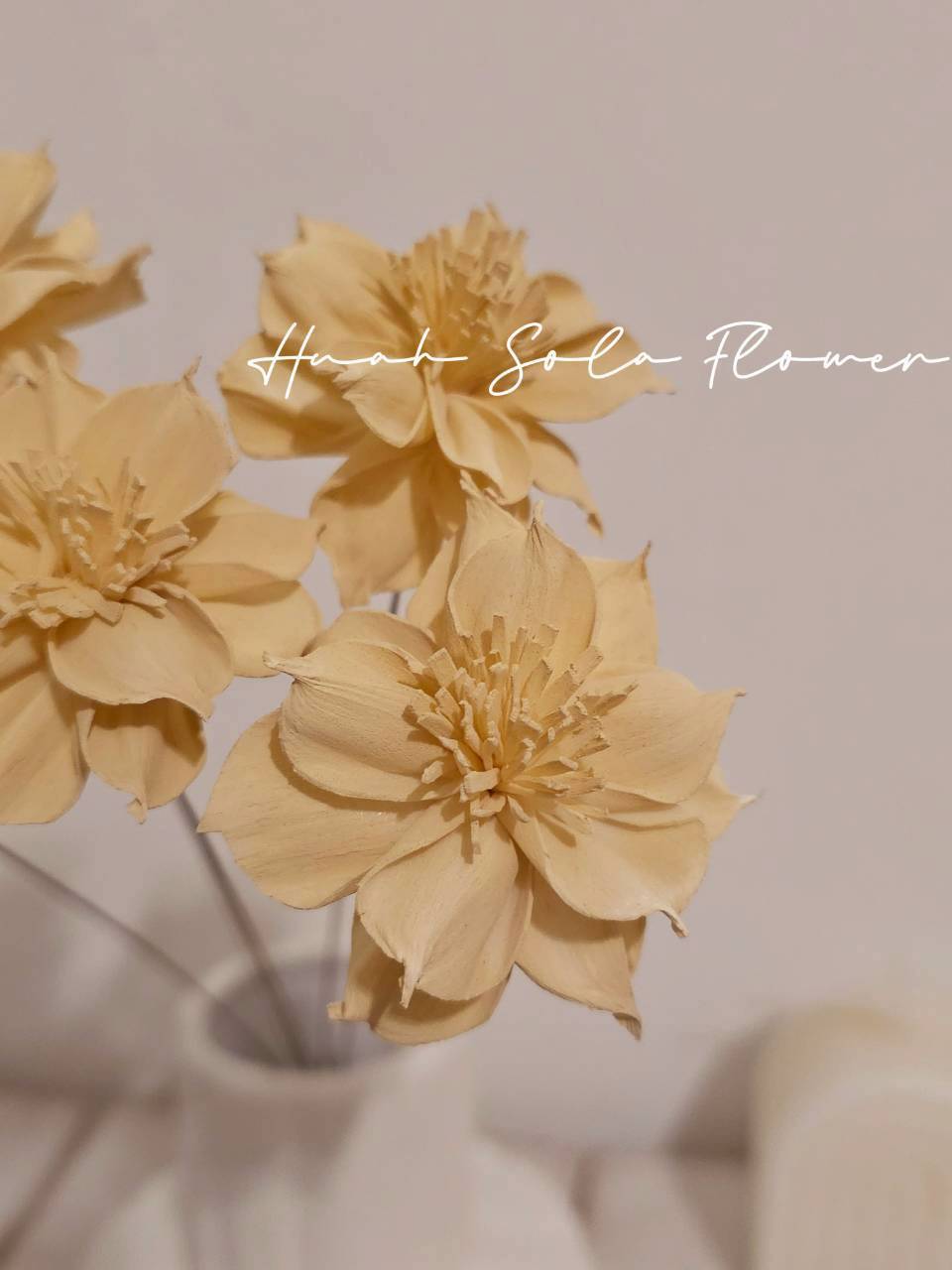 LINE_ALBUM_官網7_260109_2