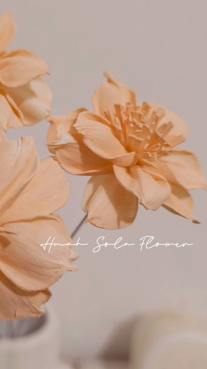 LINE_ALBUM_官網7_260109_9