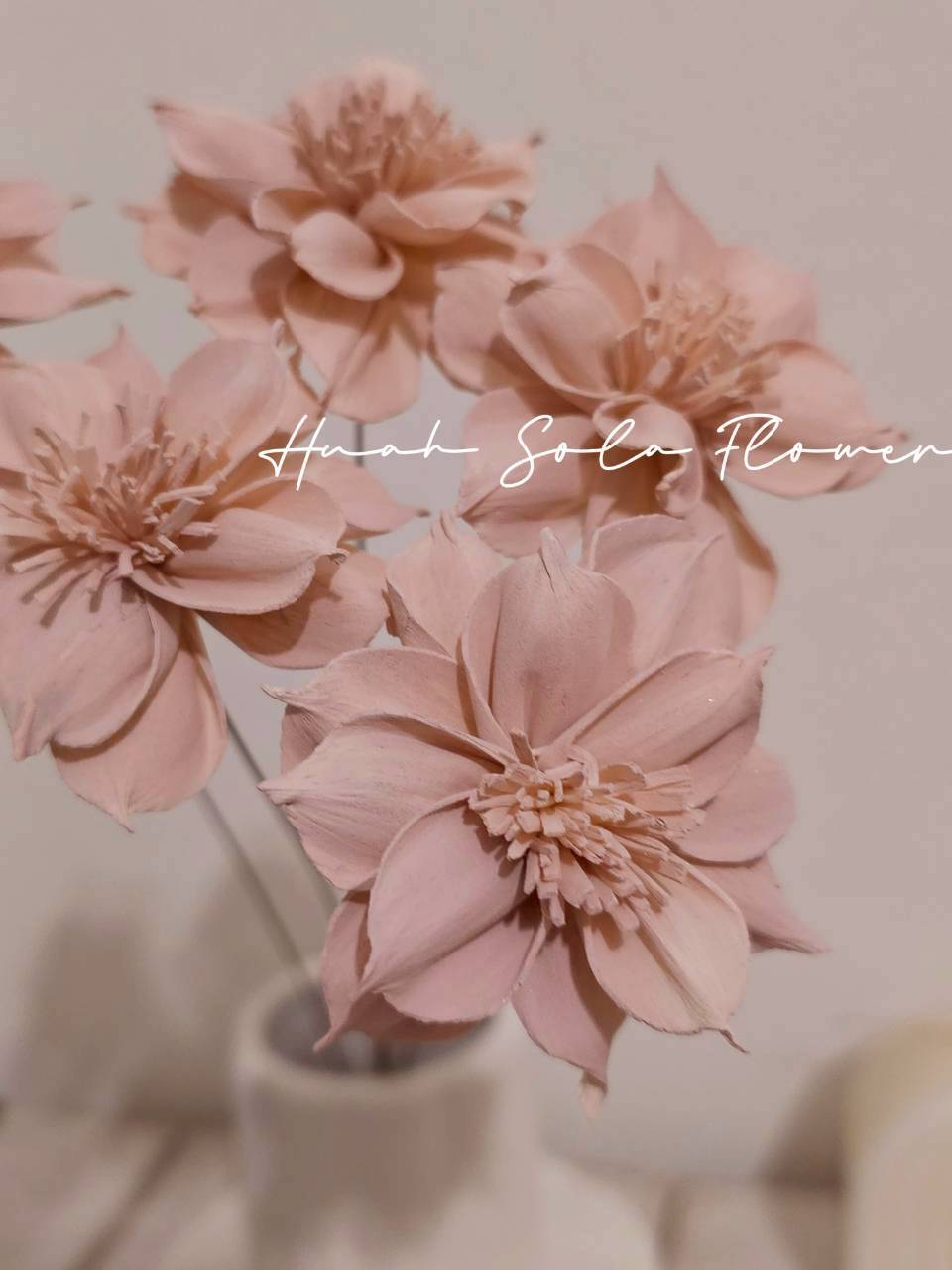 LINE_ALBUM_官網7_260109_5