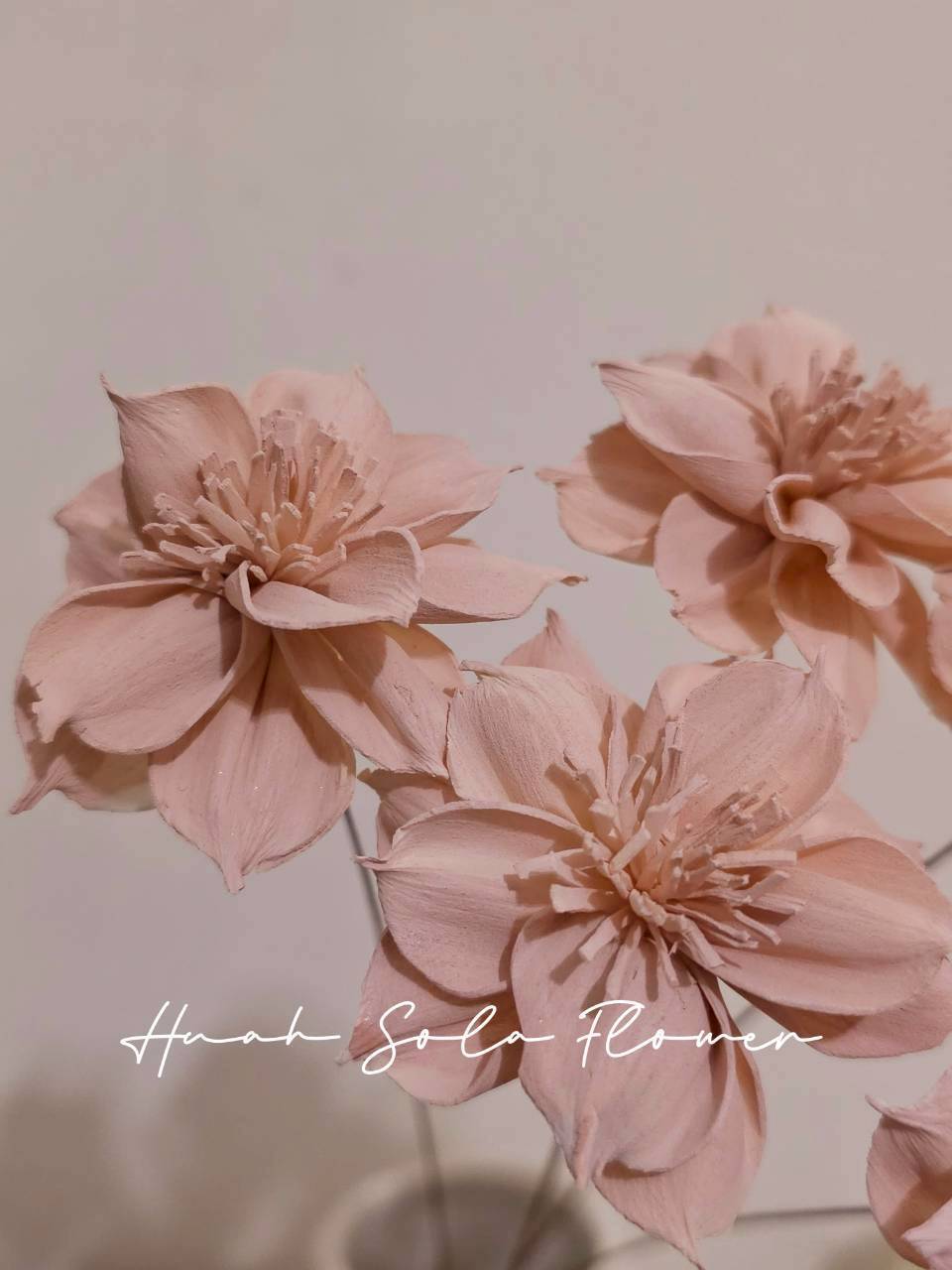 LINE_ALBUM_官網7_260109_6