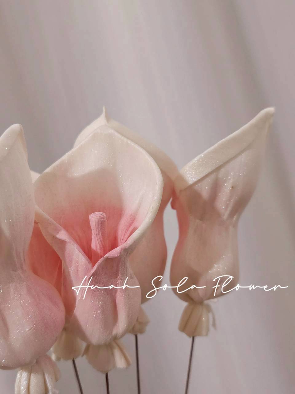 LINE_ALBUM_官網7_260109_11