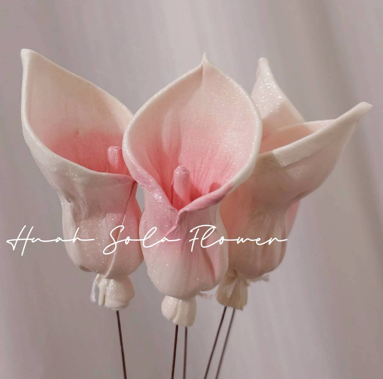 LINE_ALBUM_官網7_260109_10