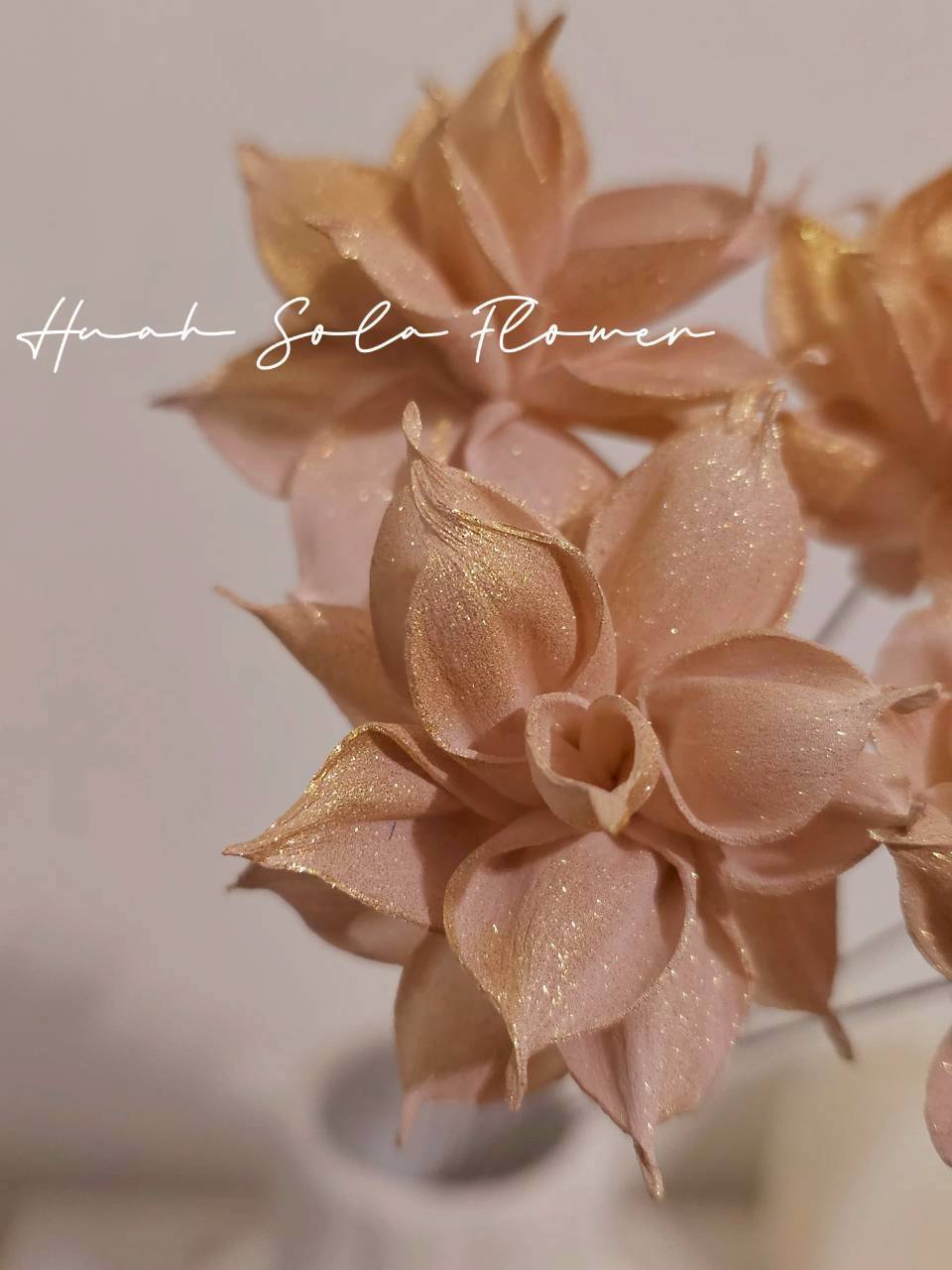 LINE_ALBUM_官網7_260109_15