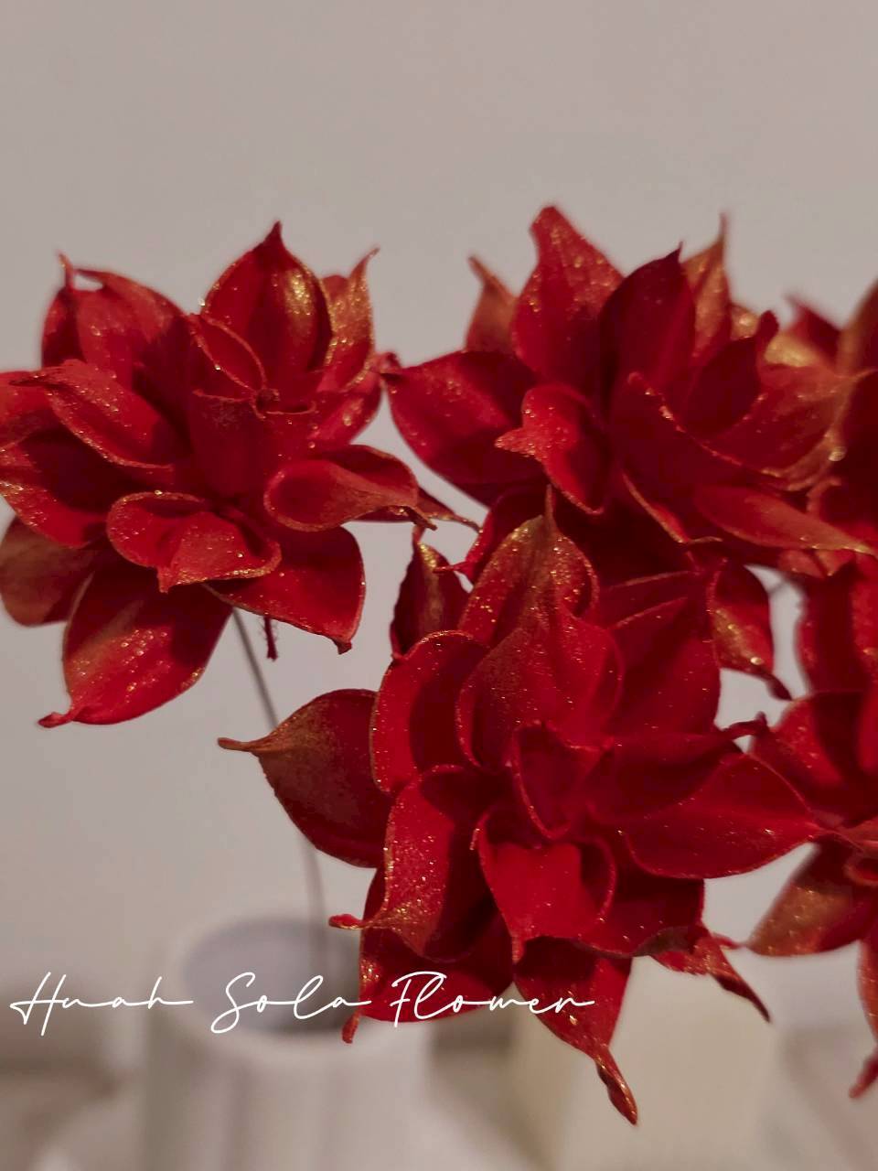 LINE_ALBUM_官網7_260109_30