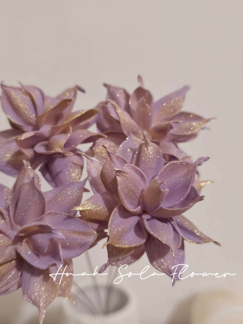 LINE_ALBUM_官網7_260109_72