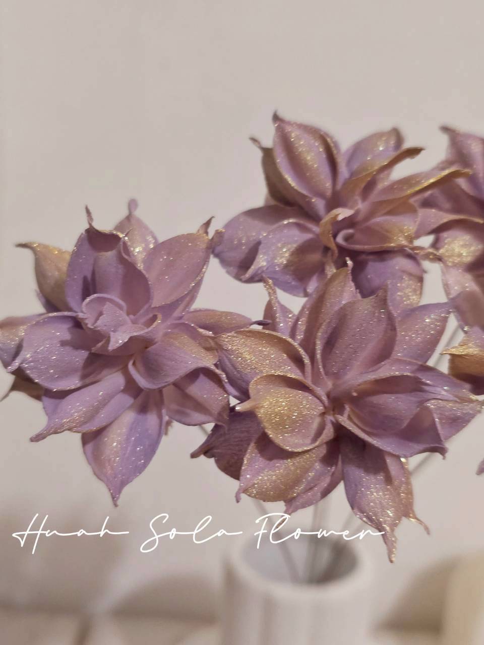 LINE_ALBUM_官網7_260109_71