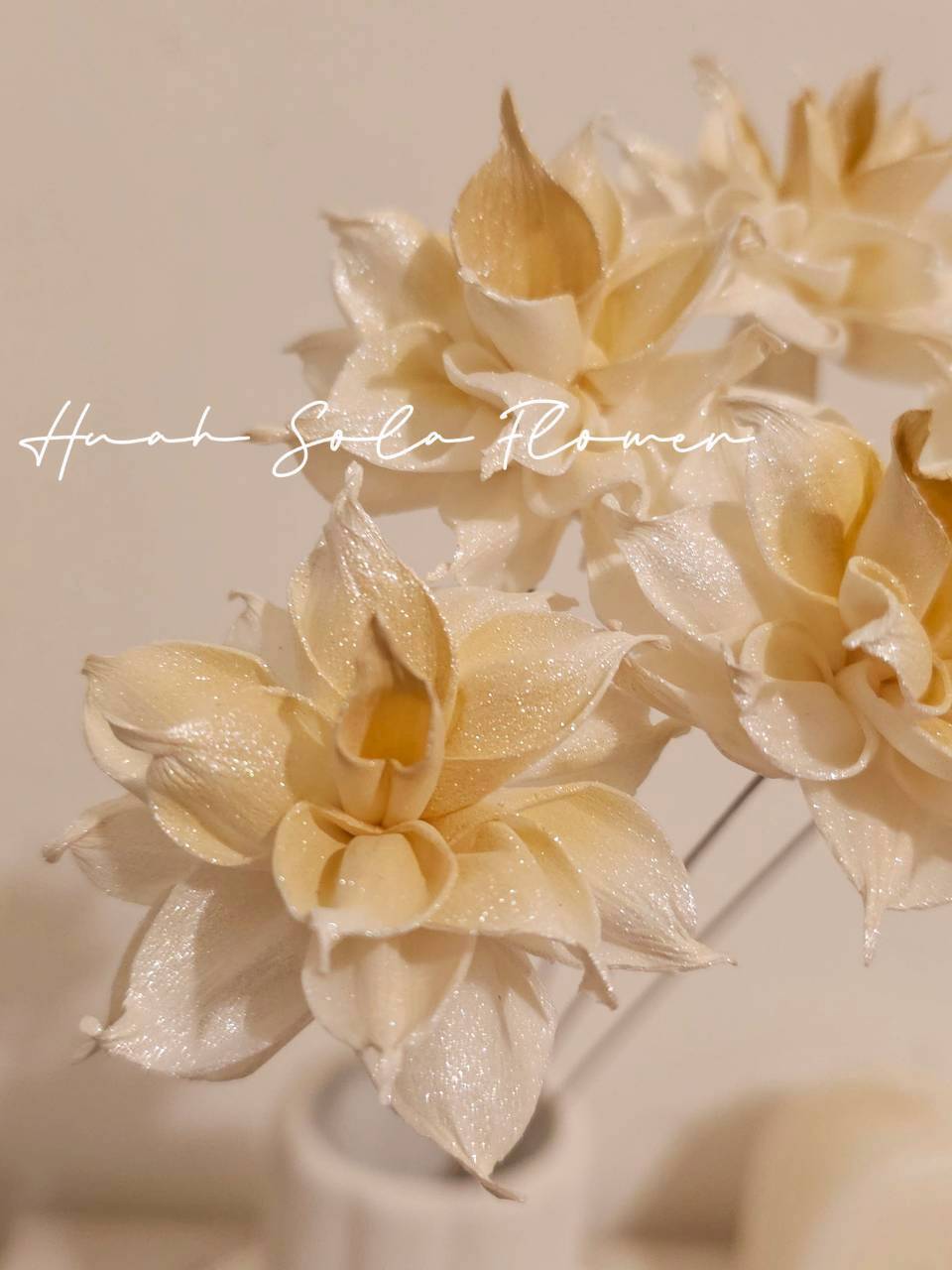 LINE_ALBUM_官網7_260109_102