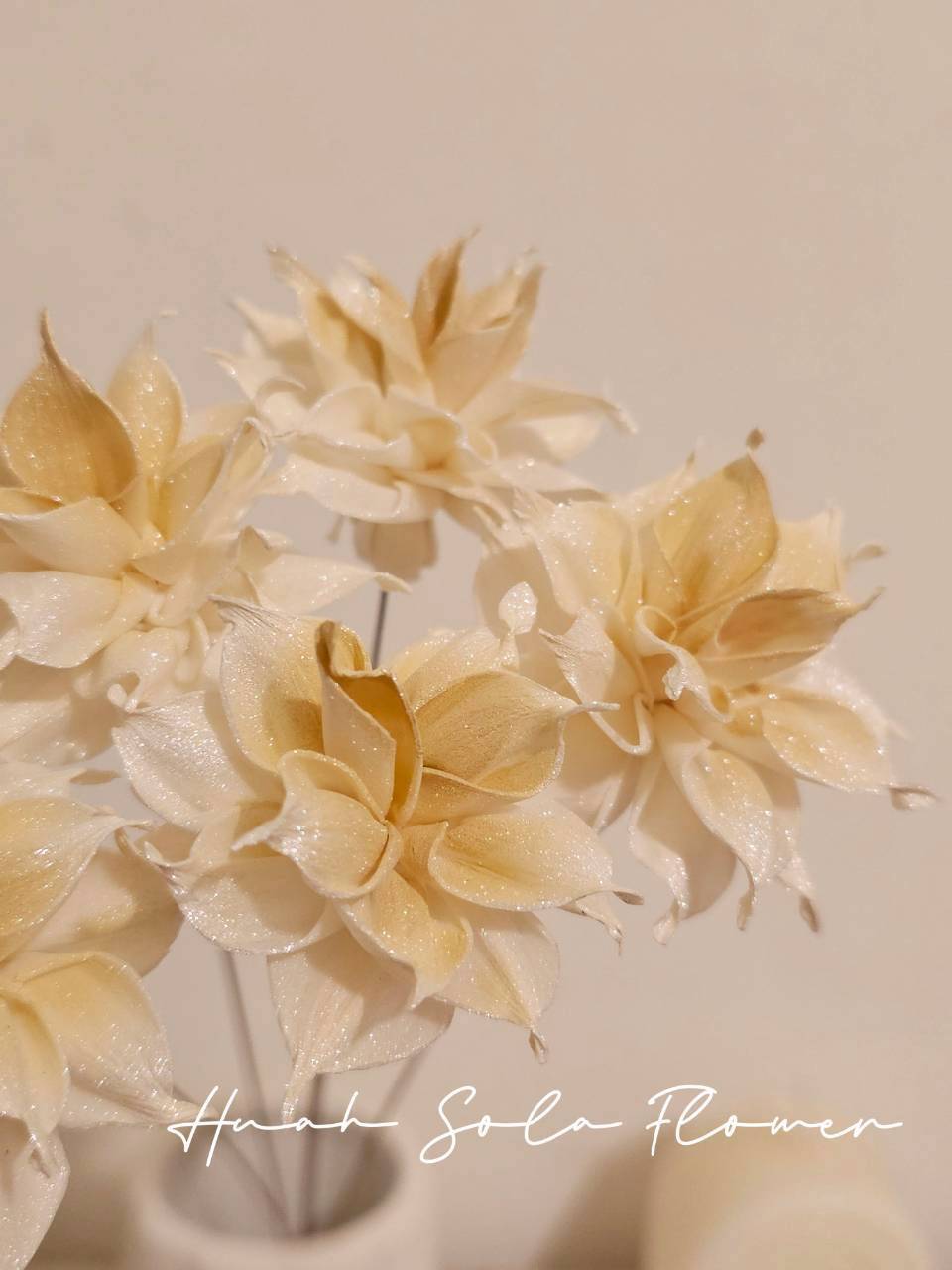 LINE_ALBUM_官網7_260109_100