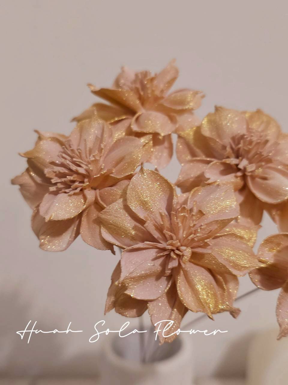 LINE_ALBUM_官網7_260109_16