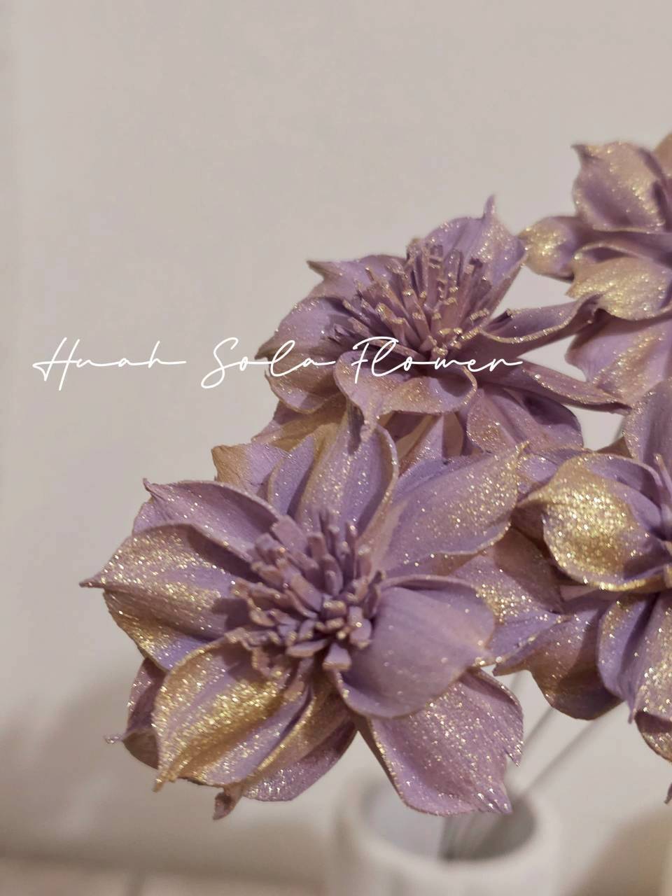 LINE_ALBUM_官網7_260109_64