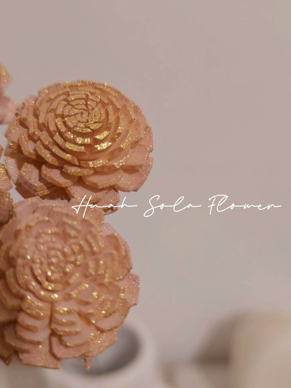 LINE_ALBUM_官網7_260109_20