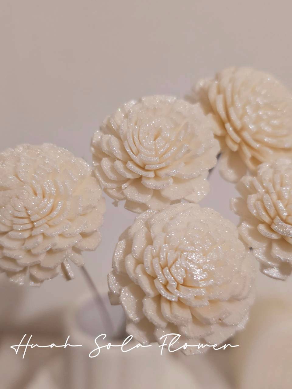 LINE_ALBUM_官網7_260109_38