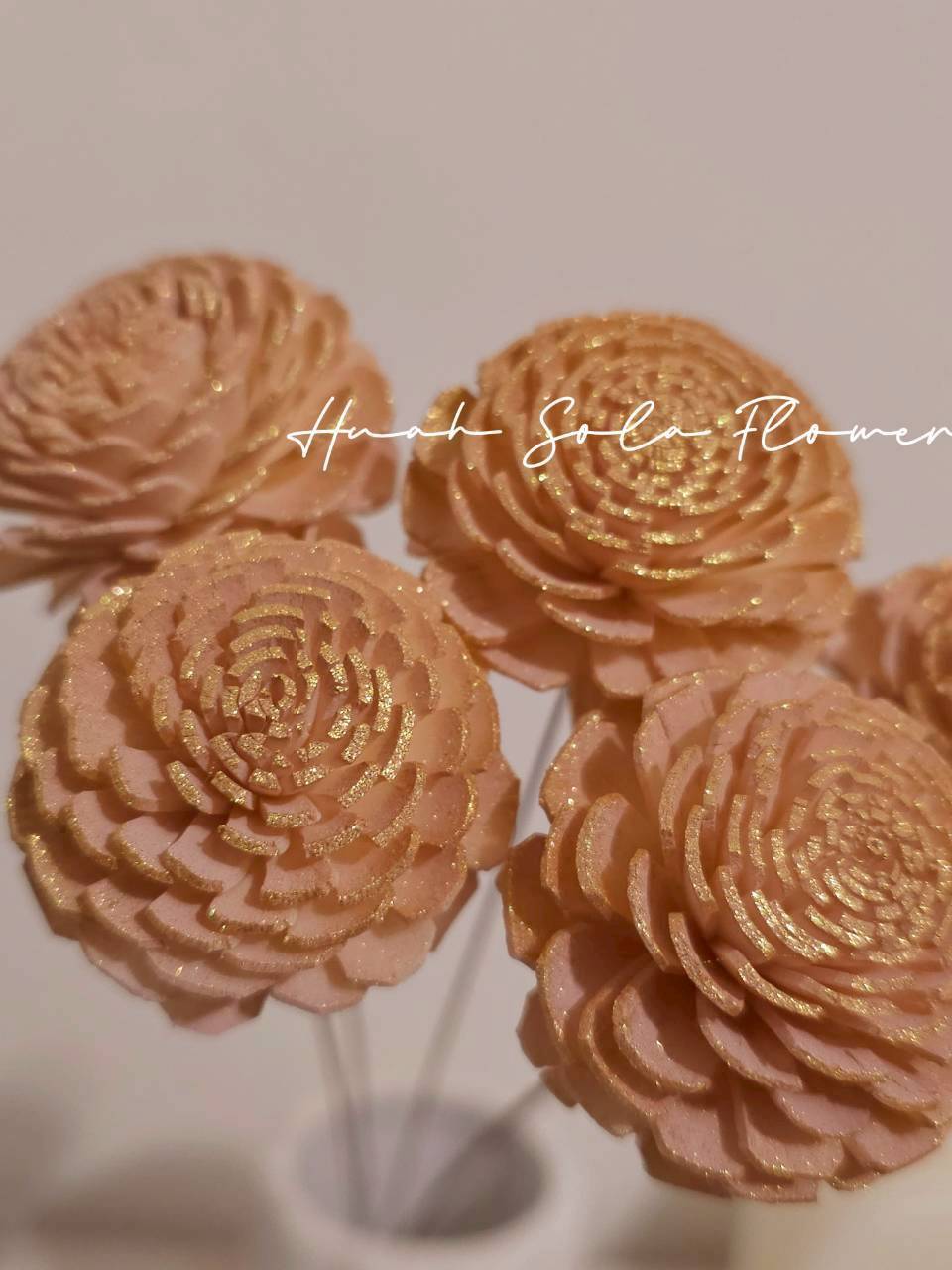 LINE_ALBUM_官網7_260109_22