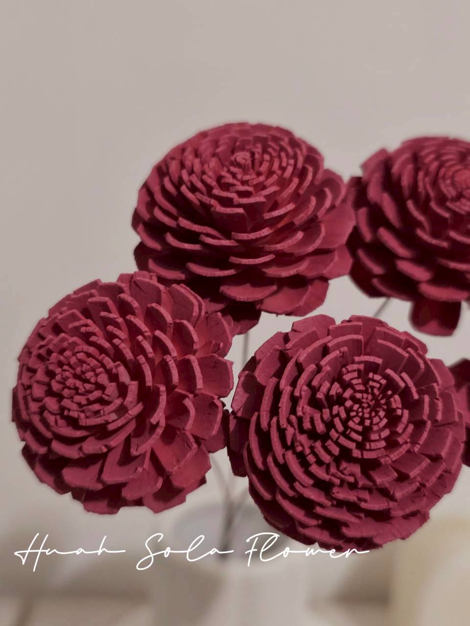 LINE_ALBUM_官網7_260109_48