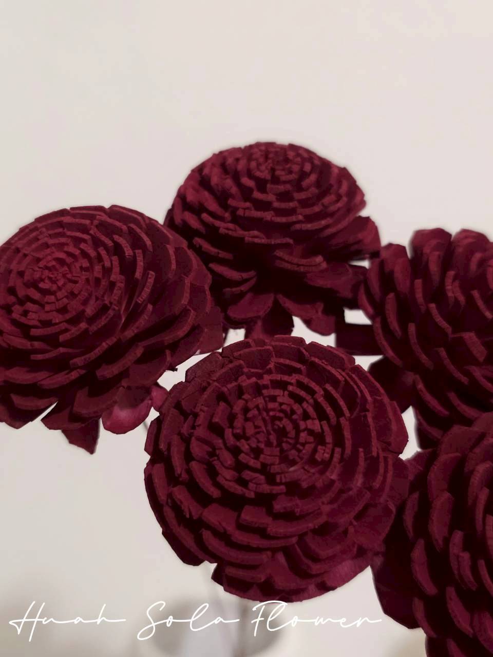 LINE_ALBUM_官網7_260109_53