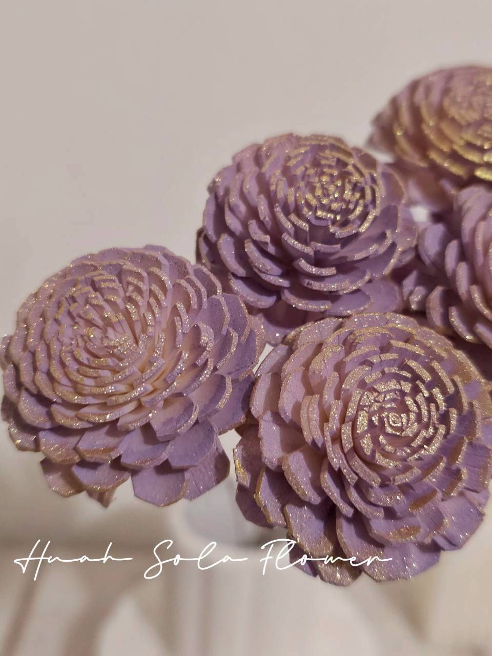 LINE_ALBUM_官網7_260109_74