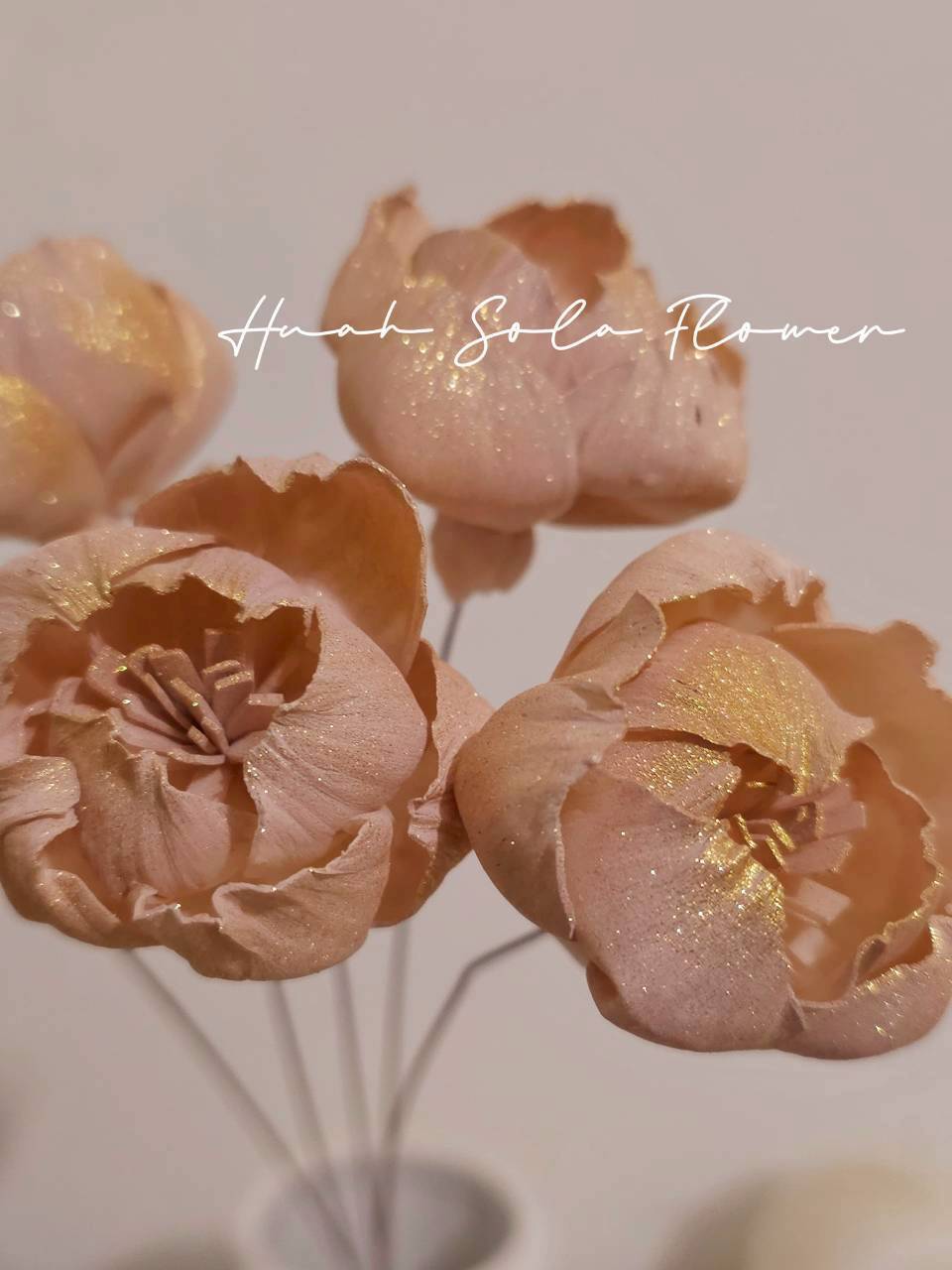 LINE_ALBUM_官網7_260109_24