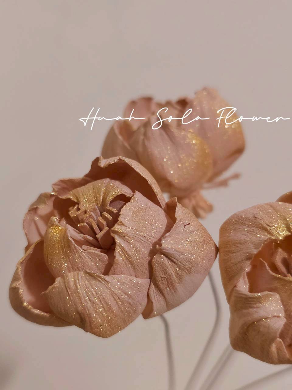 LINE_ALBUM_官網7_260109_25