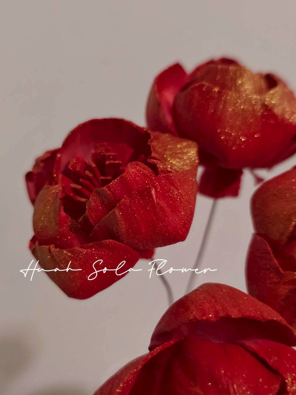 LINE_ALBUM_官網7_260109_35