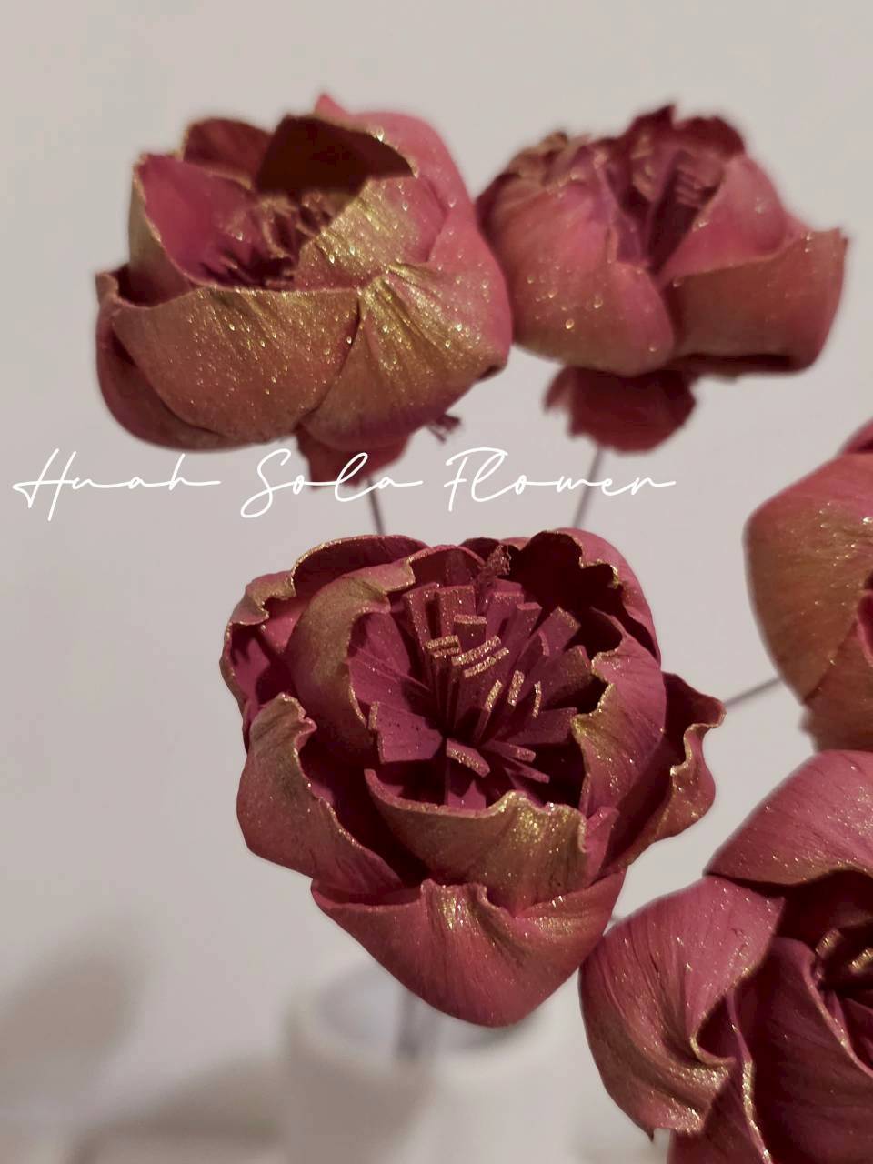 LINE_ALBUM_官網7_260109_57