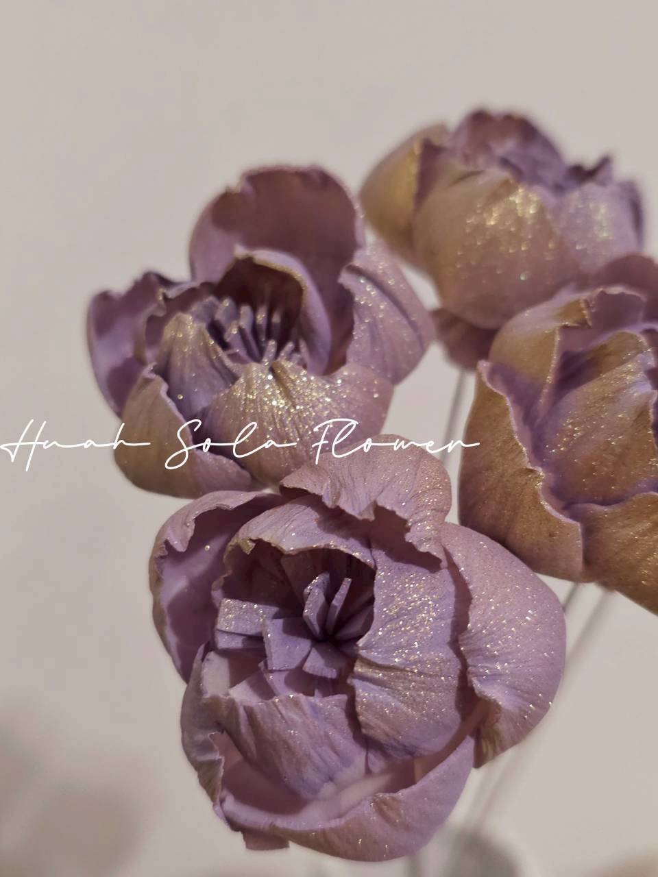 LINE_ALBUM_官網7_260109_69