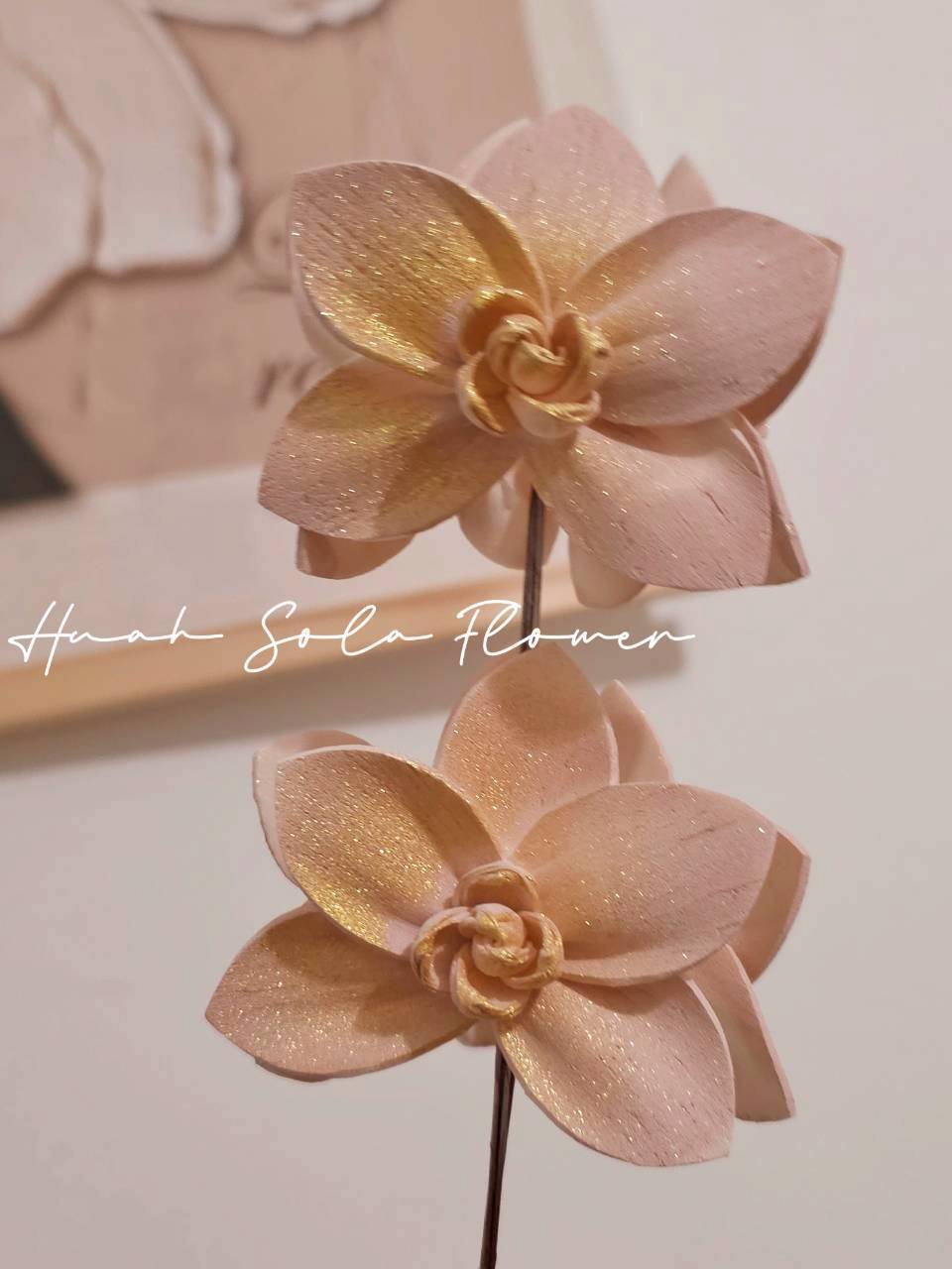 LINE_ALBUM_官網7_260109_27