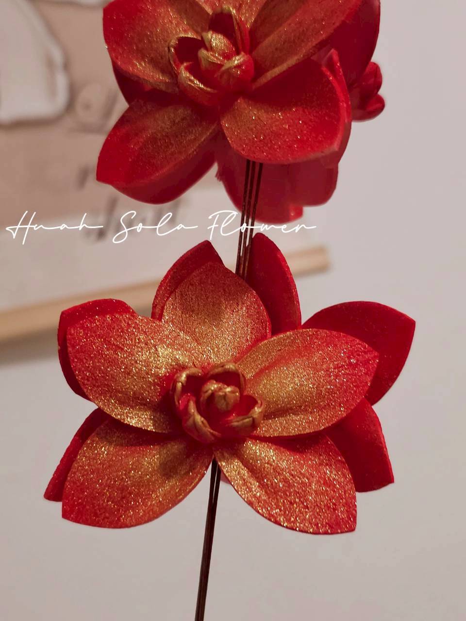 LINE_ALBUM_官網7_260109_37