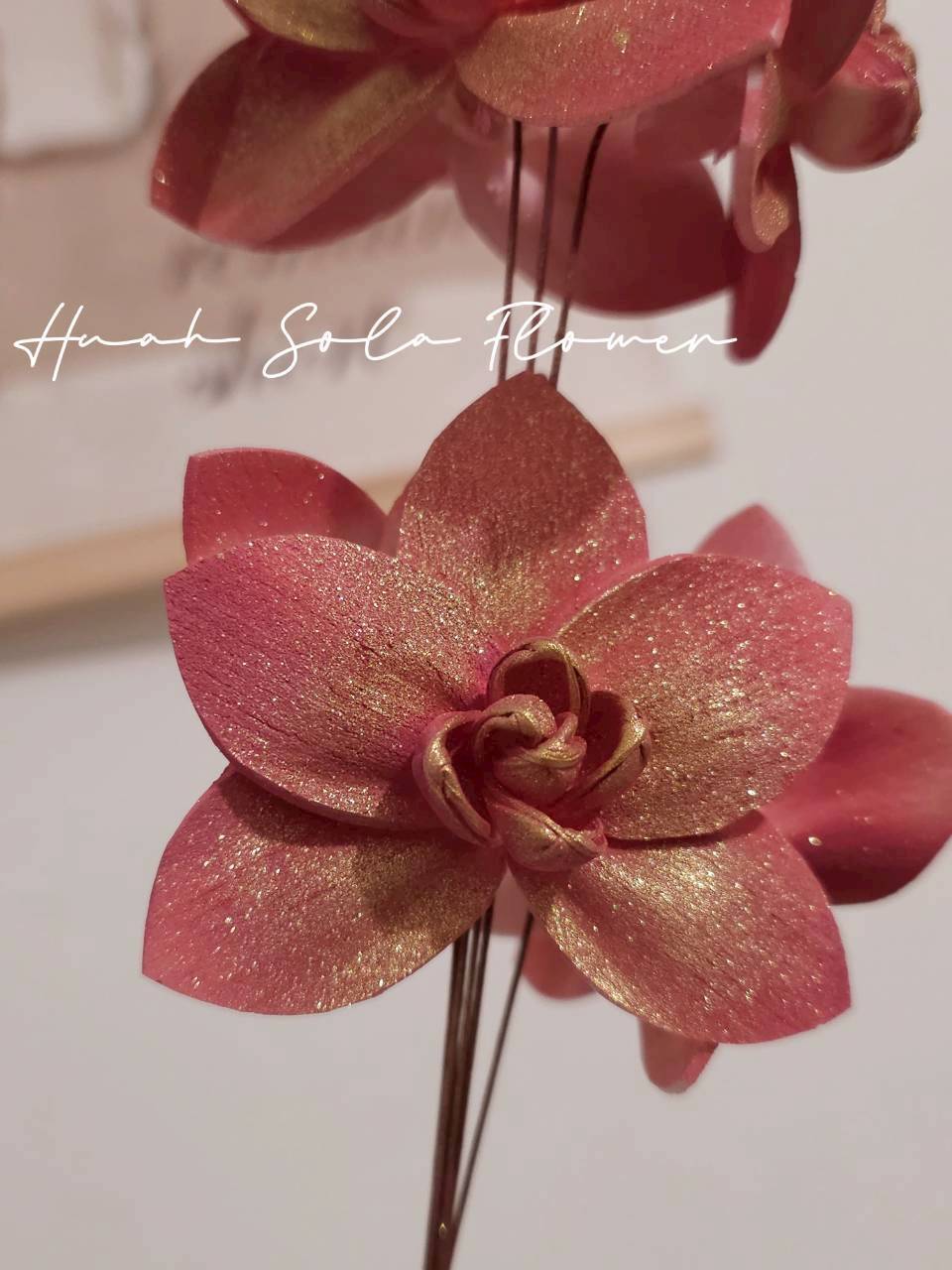 LINE_ALBUM_官網7_260109_61