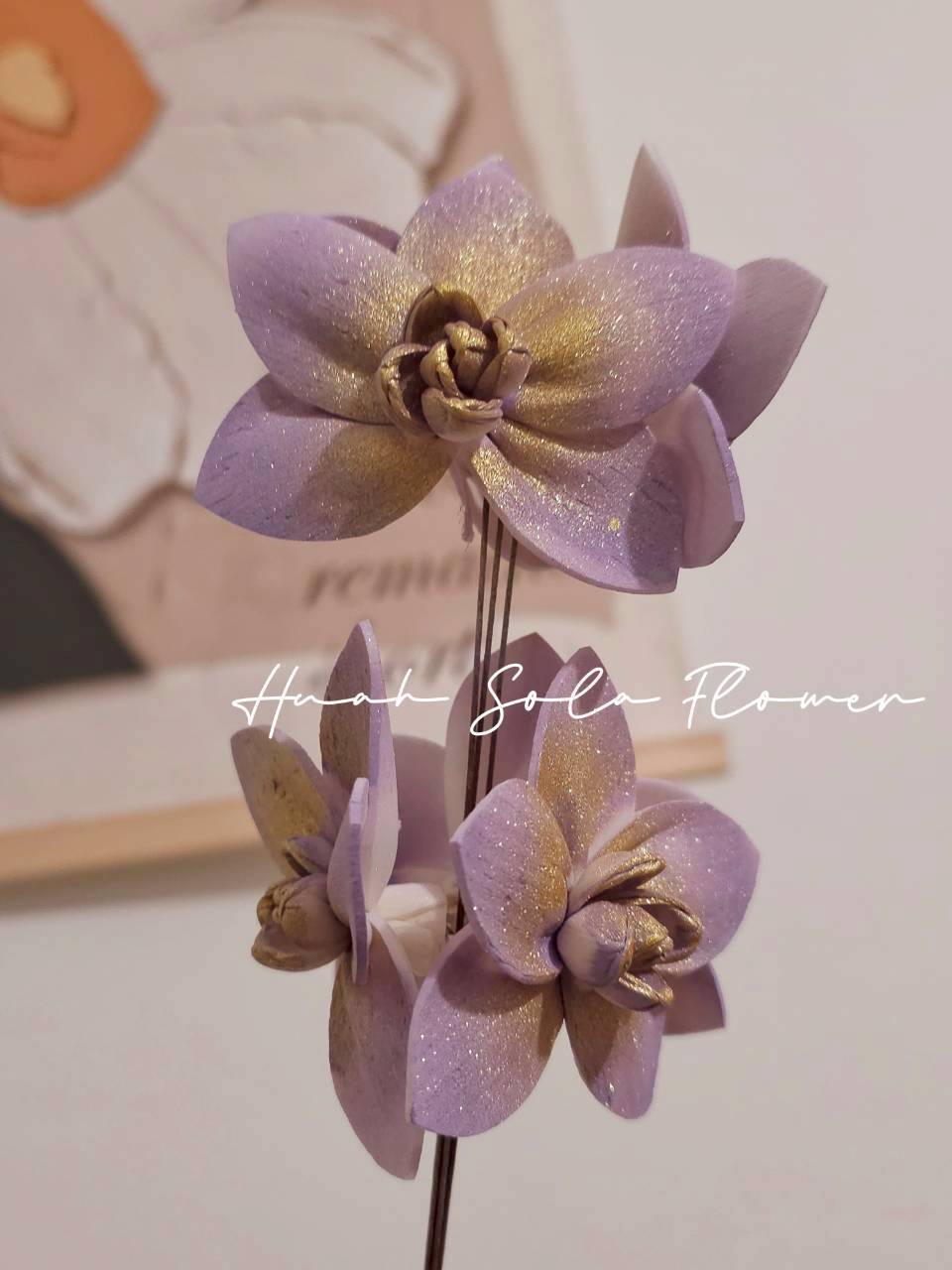 LINE_ALBUM_官網7_260109_1