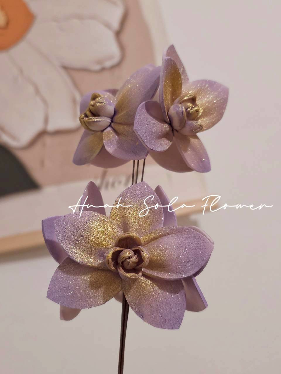 LINE_ALBUM_官網7_260109_2