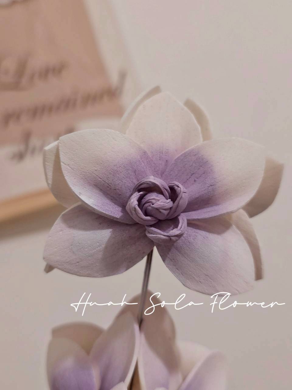 LINE_ALBUM_官網7_260109_87