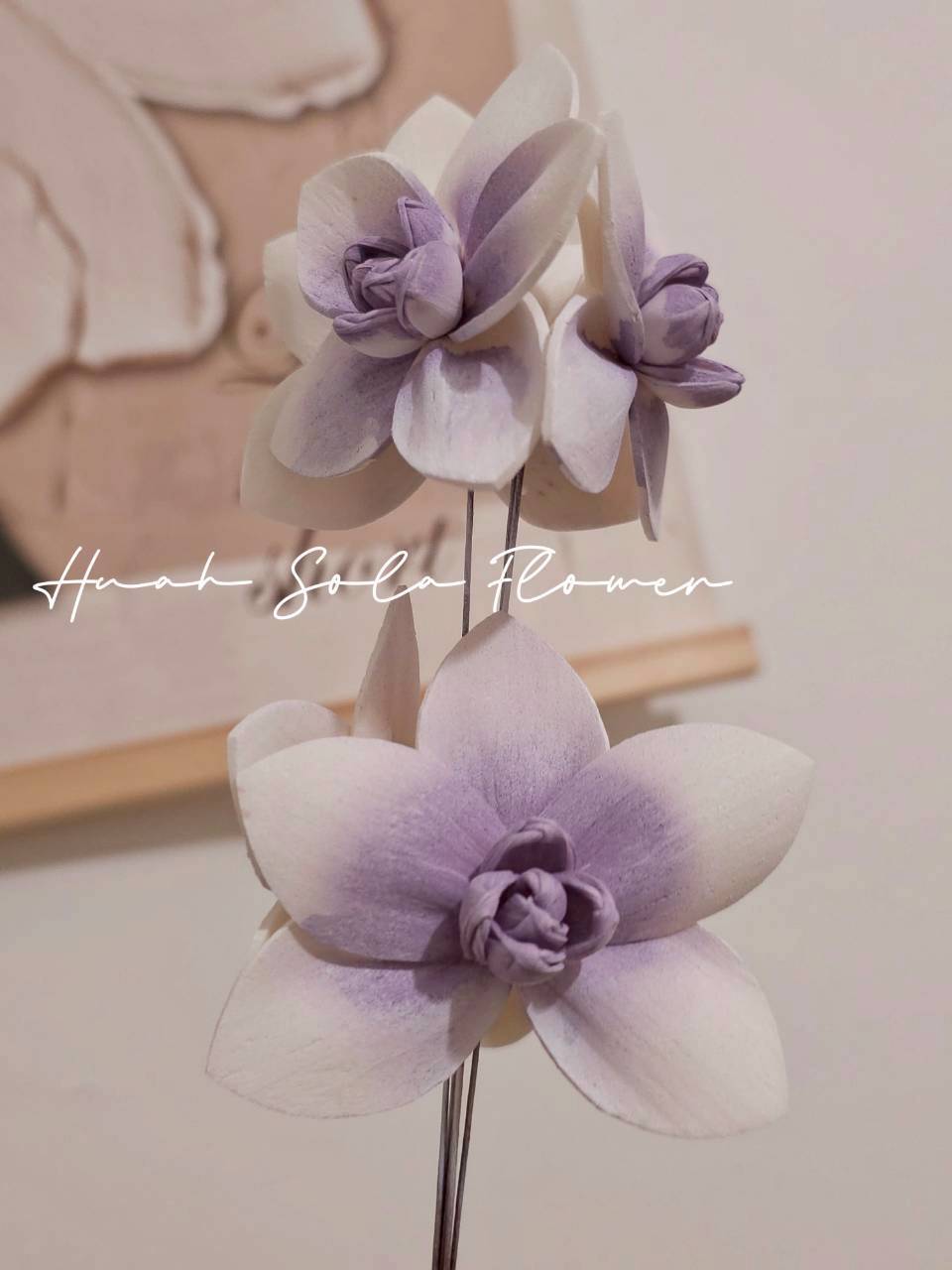 LINE_ALBUM_官網7_260109_86