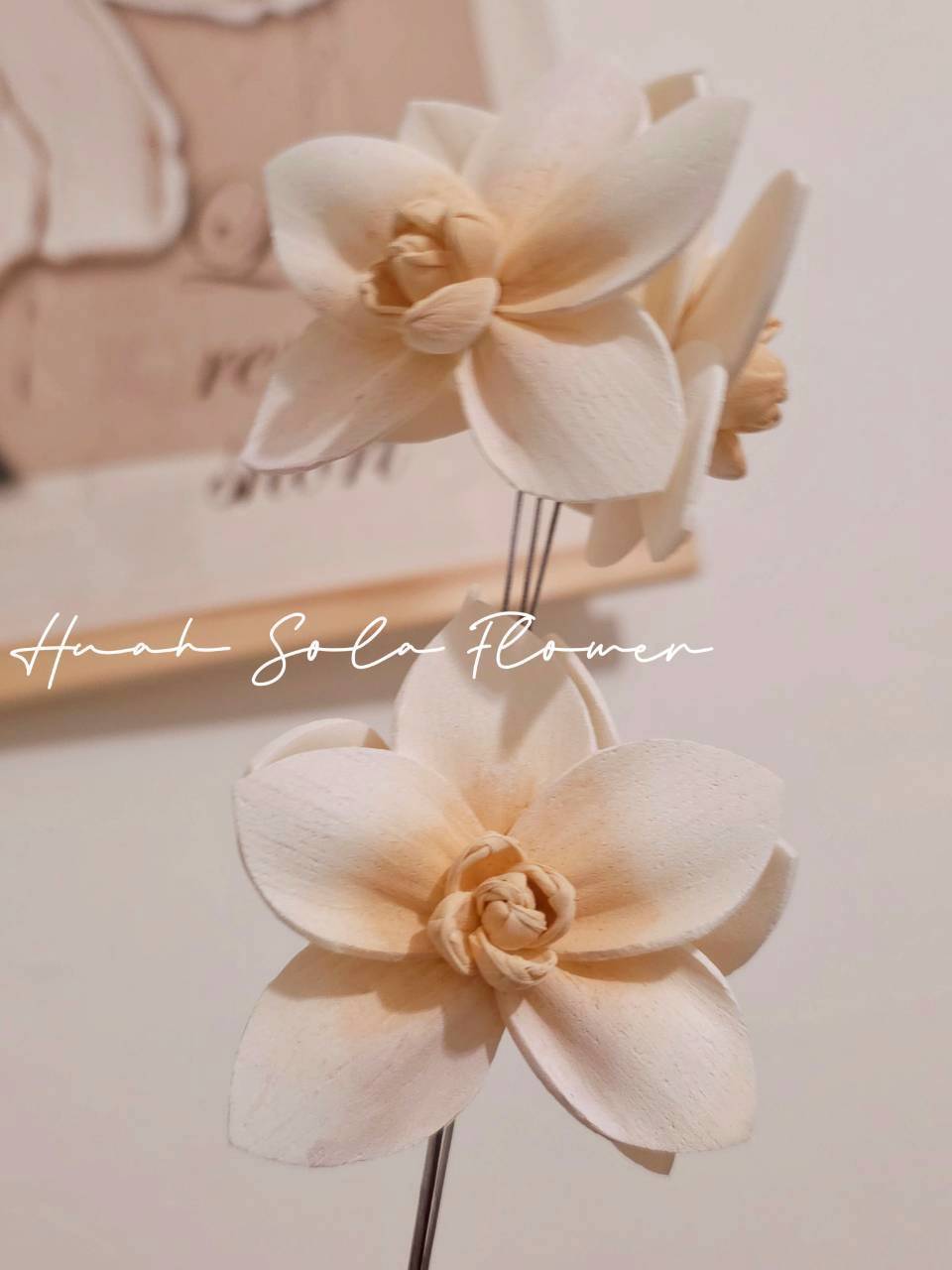 LINE_ALBUM_官網7_260109_108